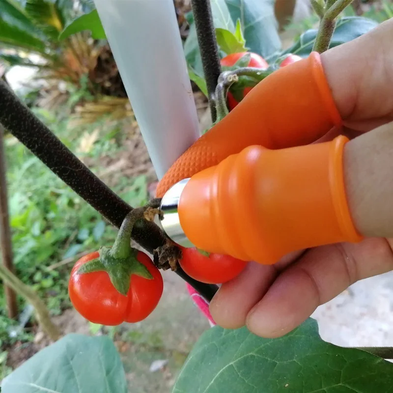 

Сепаратор для большого пальца, пальцевые инструменты, устройство для сбора урожая растений в саду, магазин QJS