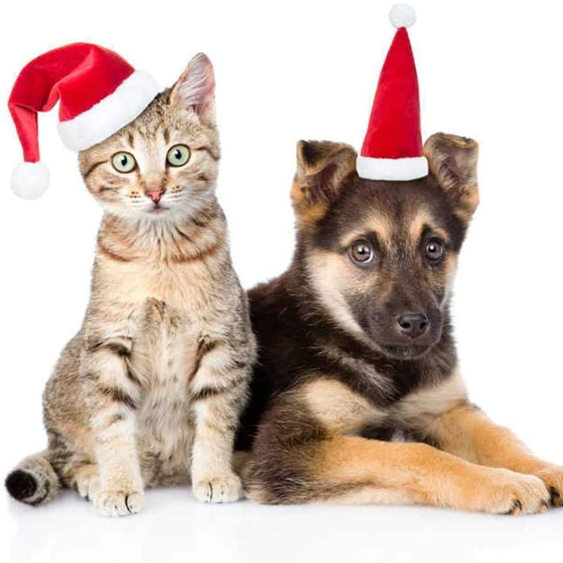 

9 Packs Christmas Decorations Pet Christmas Hats Dog Hats Plush Hats