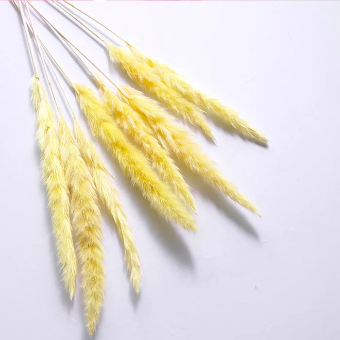 15 шт. Bulrush засушенный натуральный маленький пампасная трава Phragmites коммунис свадебный цветок букет для домашнего декора 6 цветов