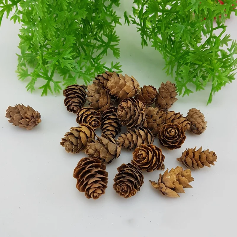 200 Pieces Thanksgiving Rustic Mini Brown Pine Cones in Bulk - Christmas Natural Ornaments for Home Decoration Fall a | Дом и сад
