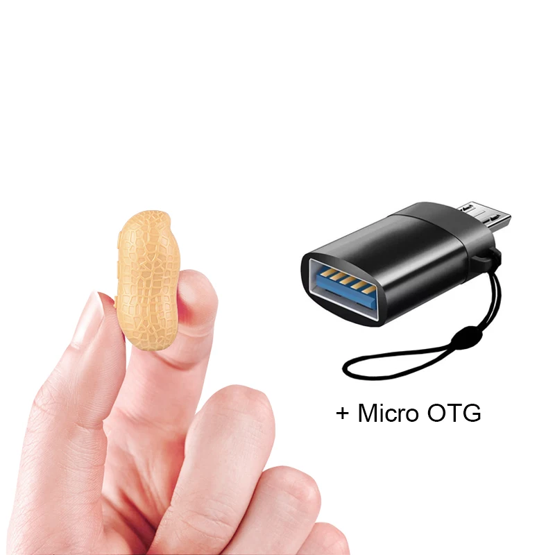 Micro STTWUNAKE диктофон ручка-диктофон аудио звук мини активированный цифровой профессиональный микро арахис - Цвет: Micro