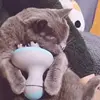 Изображение товара 0
