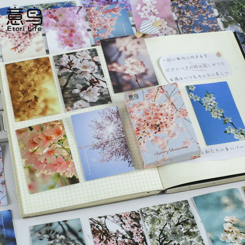 

30pcs per pack Sakura Words Boxed Stickers Kawaii Handbook Album Items Decorative Scrapbooking Stickers Gifts for Kids