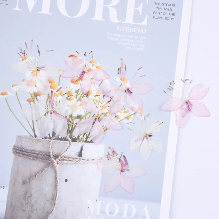 Цветы анютины глазки 2-4 см/16 шт. прессованный высушенный натуральные лепестки