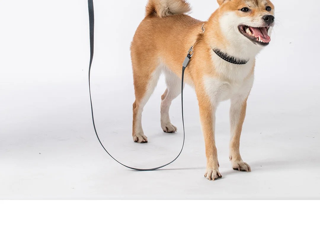 Xiaomi Pet Телескопический тяговый трос гибкий замок безопасности автоматический разматывающийся прочный Xiomi трек веревка для домашних животных 5 м
