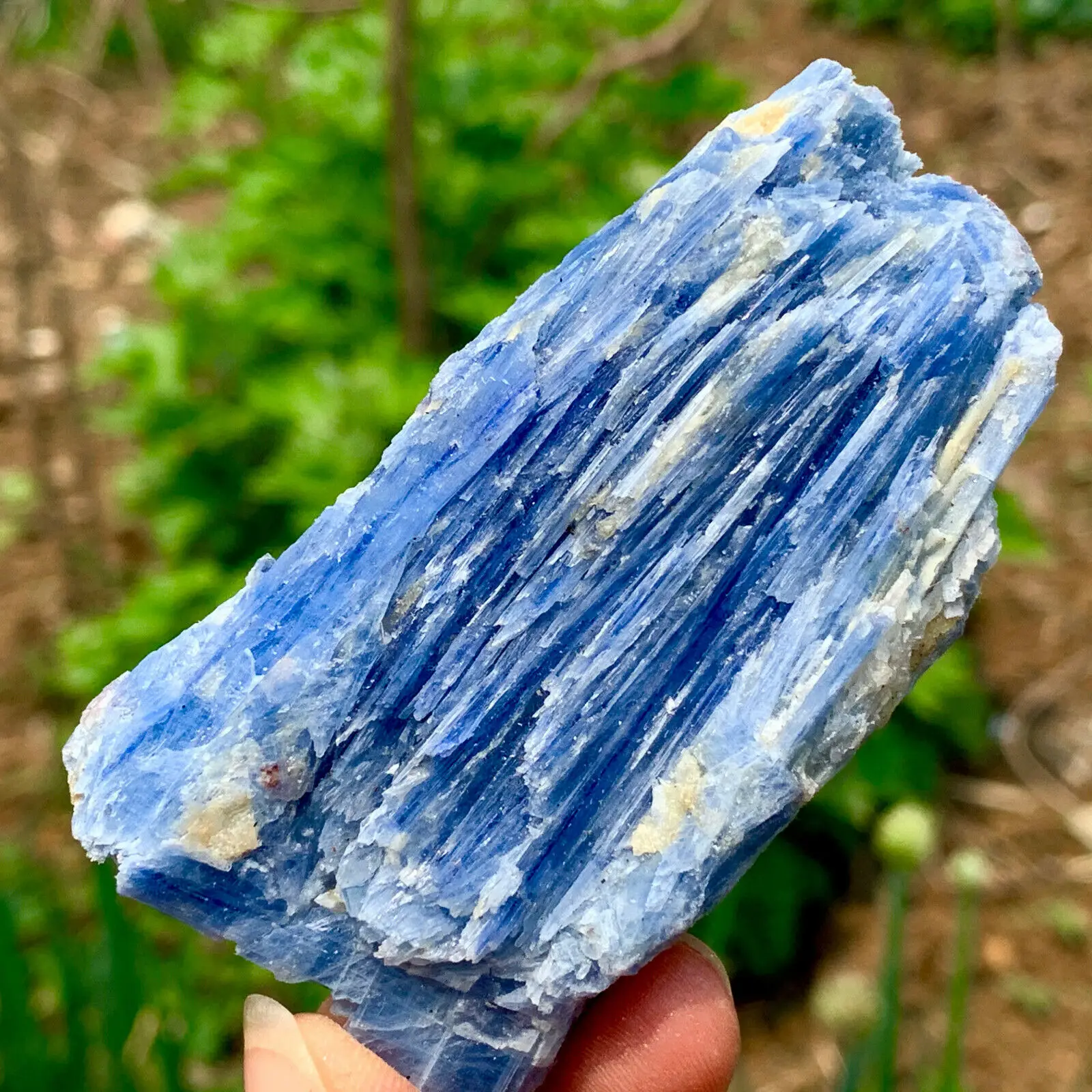 

Natural kyanite Crystal Rough Raw Stone Rock Specimen