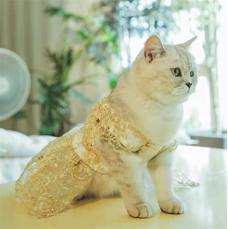

Pet Clothes Wholesale Dog Wedding Dress Pet Dress Clothes Cat Skirt Lace Princess Clothes Gold Silver