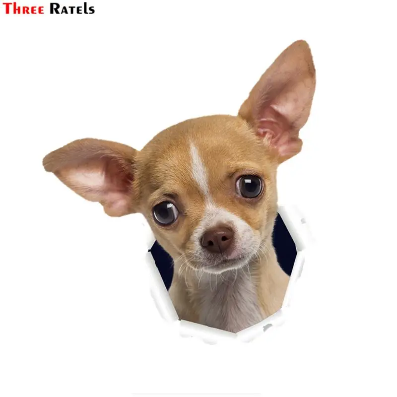 

Three Ratels QD40 милый 3D рваный металлический дизайн Чихуахуа собака кузова наклейка