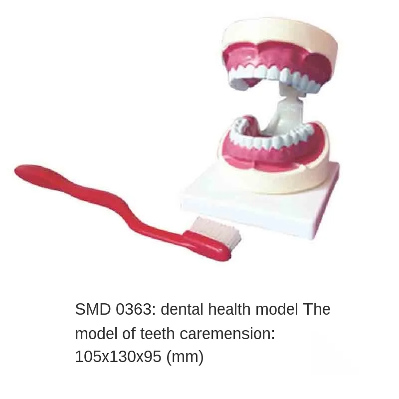 

Модель SMD0363 для ухода за зубами