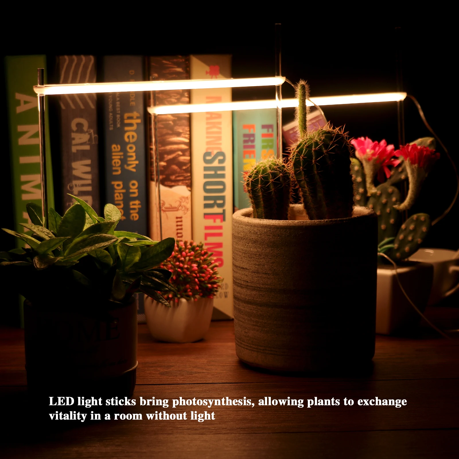 

Lantern Plant Grow Light Fleshy Full 5V Growth Spectrum Indoor Adjustable Brightness Household Photosynthesis LED Lamp