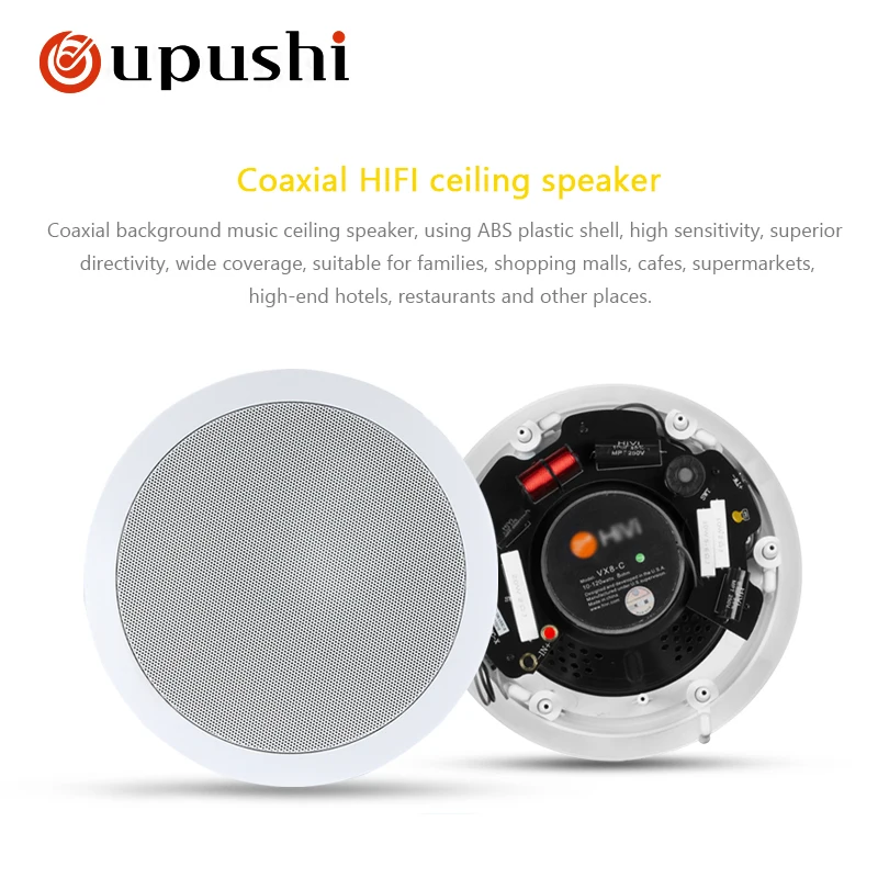 

Oupushi VX8-C 10-120W 8Ohm Family background music system Blue tooth speaker Multimedia speaker