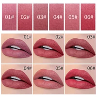 6 colors lipstick tubes waterproof long lasting sexy petal lipstick pigments makeup never fade away lip tint new
