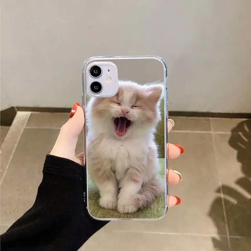 

Lovely animal cat Phone Case Transparent for iPhone 6 7 8 11 12 s mini pro X XS XR MAX Plus