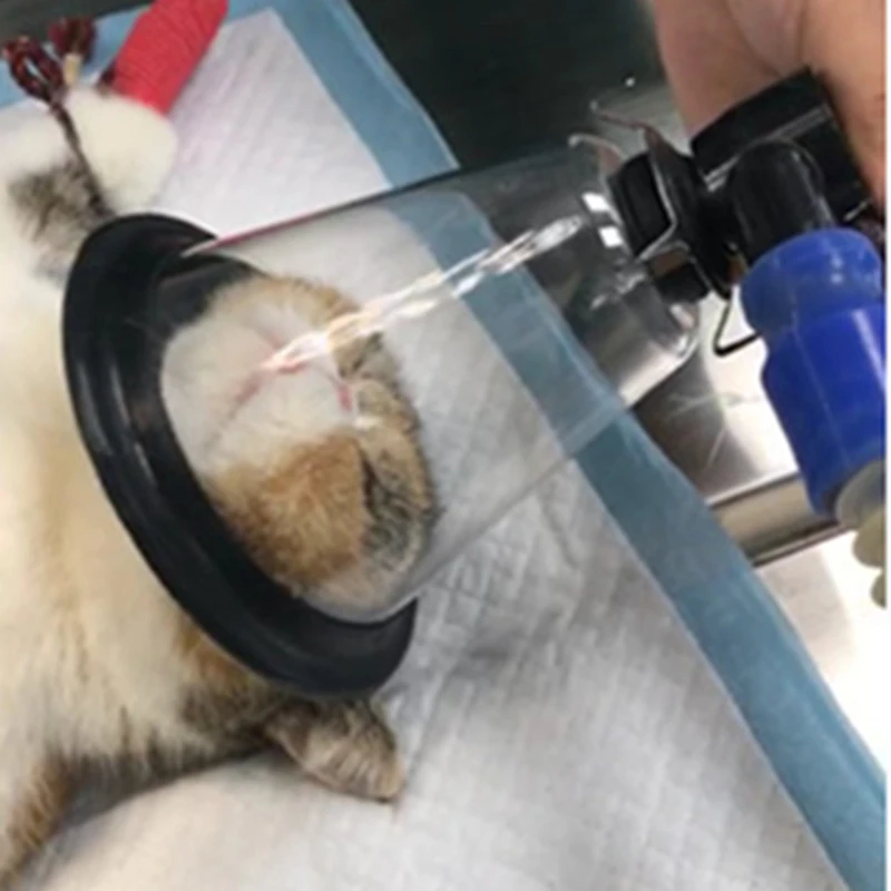 Wondcon маска для анестезии животных zero dead space 6 размеров быстрая предсказуемая