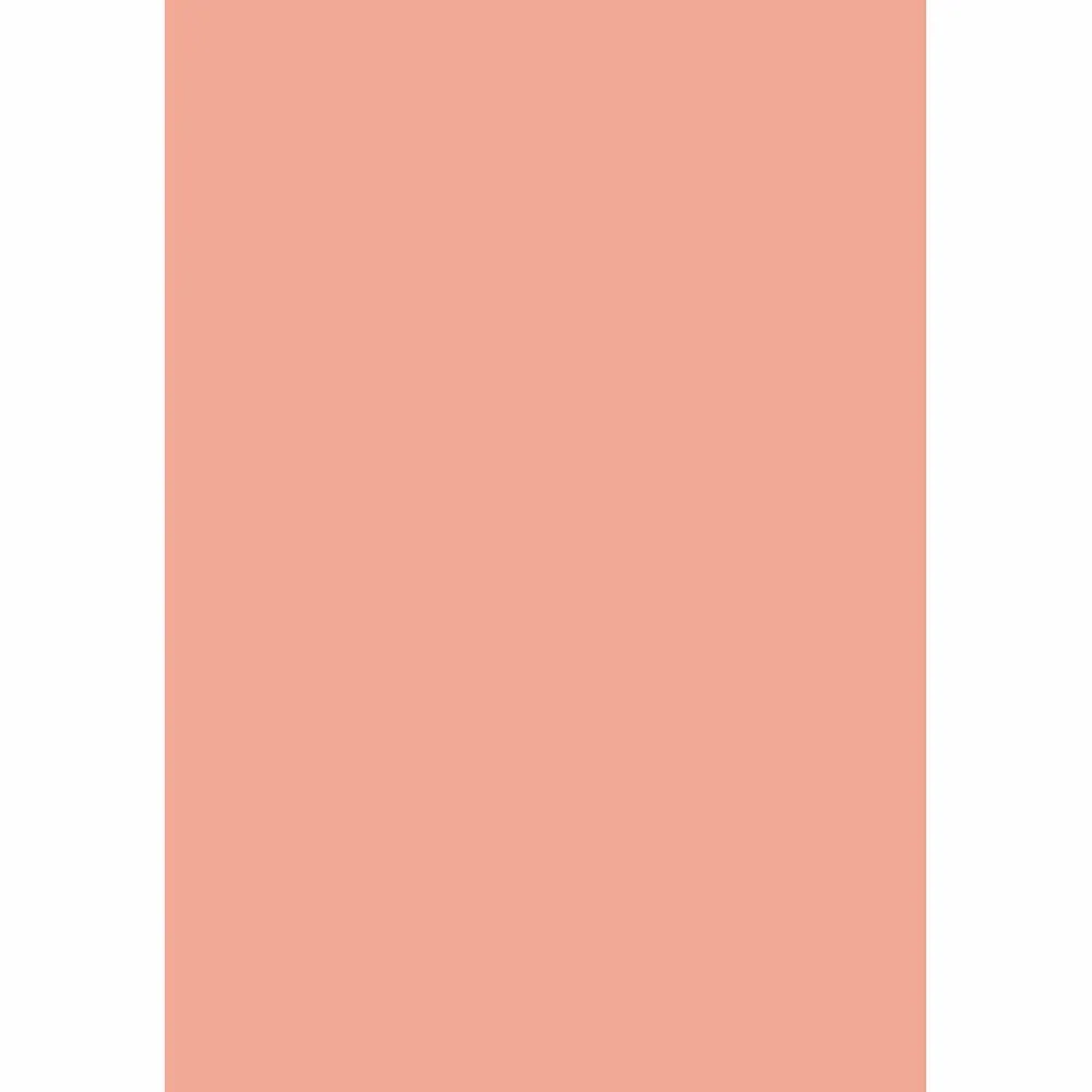 Allenjoy photography studio backgrounds soft Peach nectar pink warm solid color photozone photobooth photocall prop backdrop | Электроника