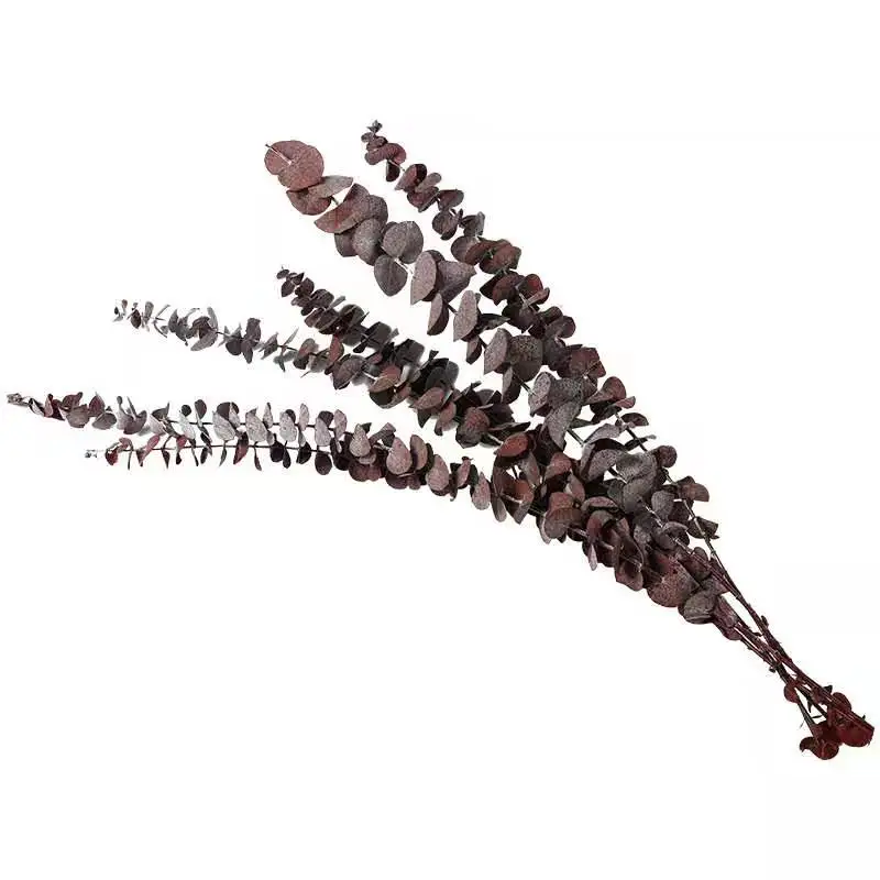 

10Pcs/Lot Natural Eucalyptus Leaves dried Flowers Nordic Style Home Decor Real Plant Fleur Sechee Naturelle Wedding Decoration