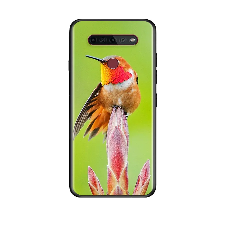 

Lovely Bird For LG G8 V30 V35 V40 V50 V60 Q60 K40S K50S K41S K51S K61 K71 K22 ThinQ 5G Phone Case