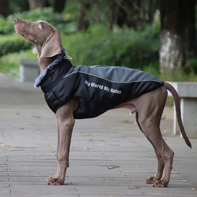 

New Dog Clothes 6 Models Autumn and Winter Reflective Warm Fur Collar Cotton Coat Pet Coat Small Medium and Large Dog Clothes
