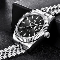pagani design silver men wristwatch luxury luminous 100m dive automatic mechanical sapphire watch for men aaa relogio masculino