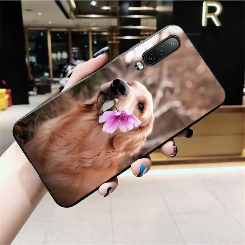 Чехол для телефона с изображением собаки золотистого ретривера Huawei P40 P30 P20 lite Pro