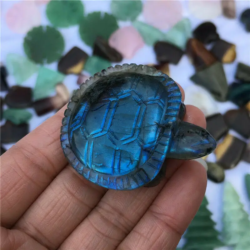 

1pc Natural Labradorite Hand Carved Crystal tortoise Skull Reiki Healing random