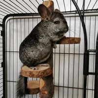 chinchilla stand exercise training play ground natural wood small animal climbing platform pet supplies