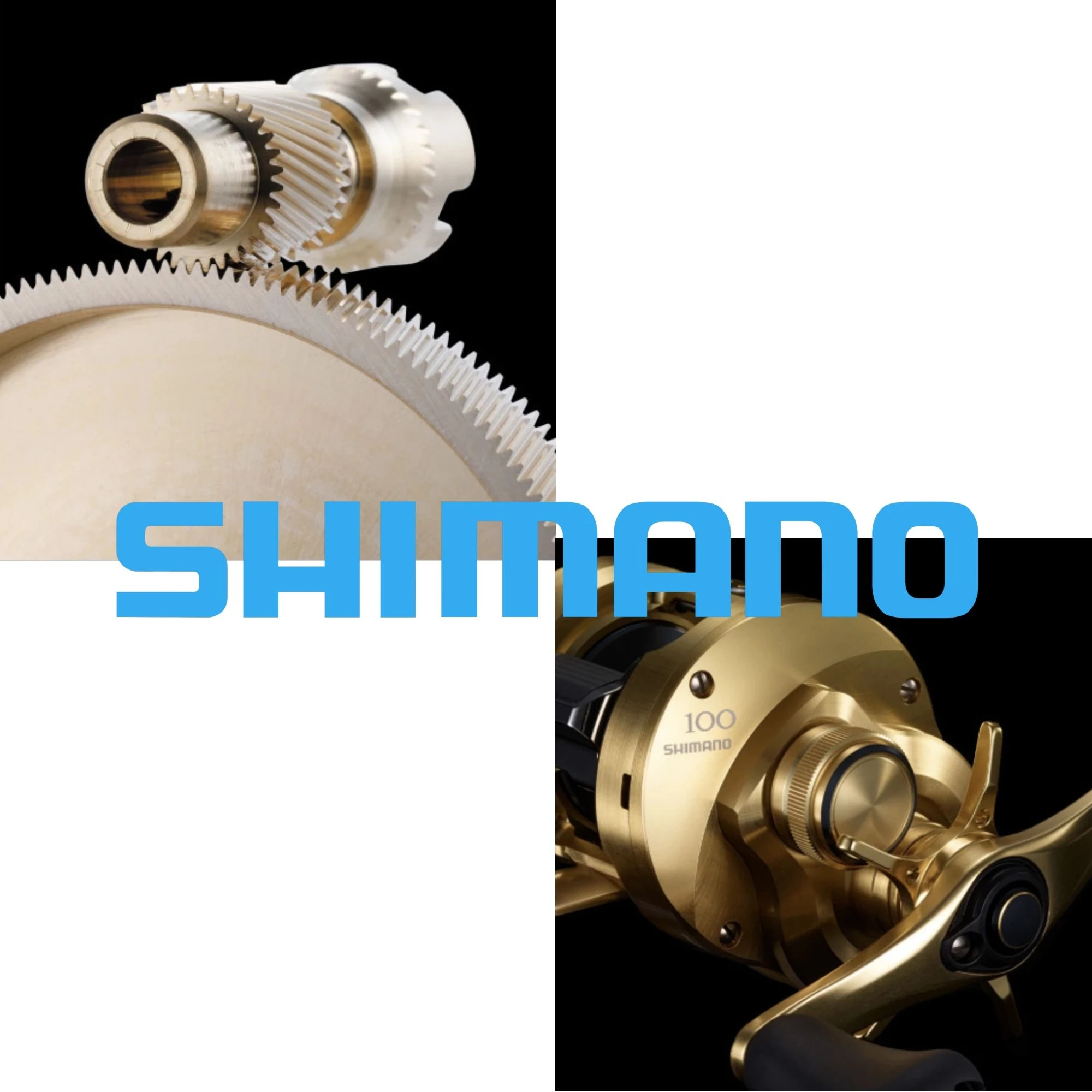 2021 Новое поступление Shimano завоевания Калькутта CQ 100HG 7 4: 1 220 г 13 + Макс Перетащите 4