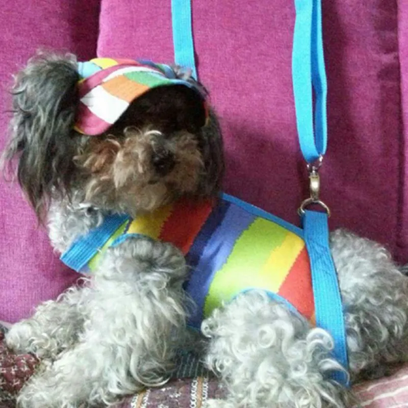 

Summer Pet Dog Hat Cap Outdoor Dog Baseball Cap Canvas Small Dog Sunscreen Accessories X