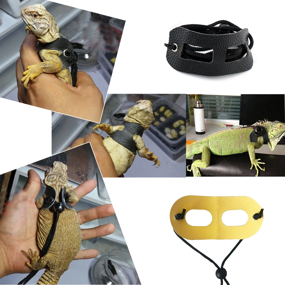 Ящерица рептилий жгут поводок ящерица аксессуары продукт маленький питомец