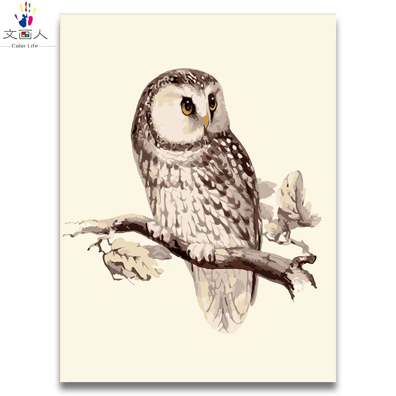 Изображение совы на ветке животного diy Раскрашивание по номерам отправка холсте