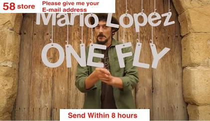 

2020 One Coin Vol 2 By Mario Lopez- Magic Tricks