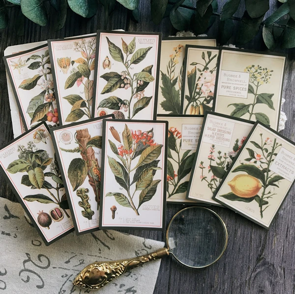 

12pcs DIY Handbook Vintage Retro Stickers scrapbooking Plant English TN notebook Decoration Material Fern Album Diary Sticker