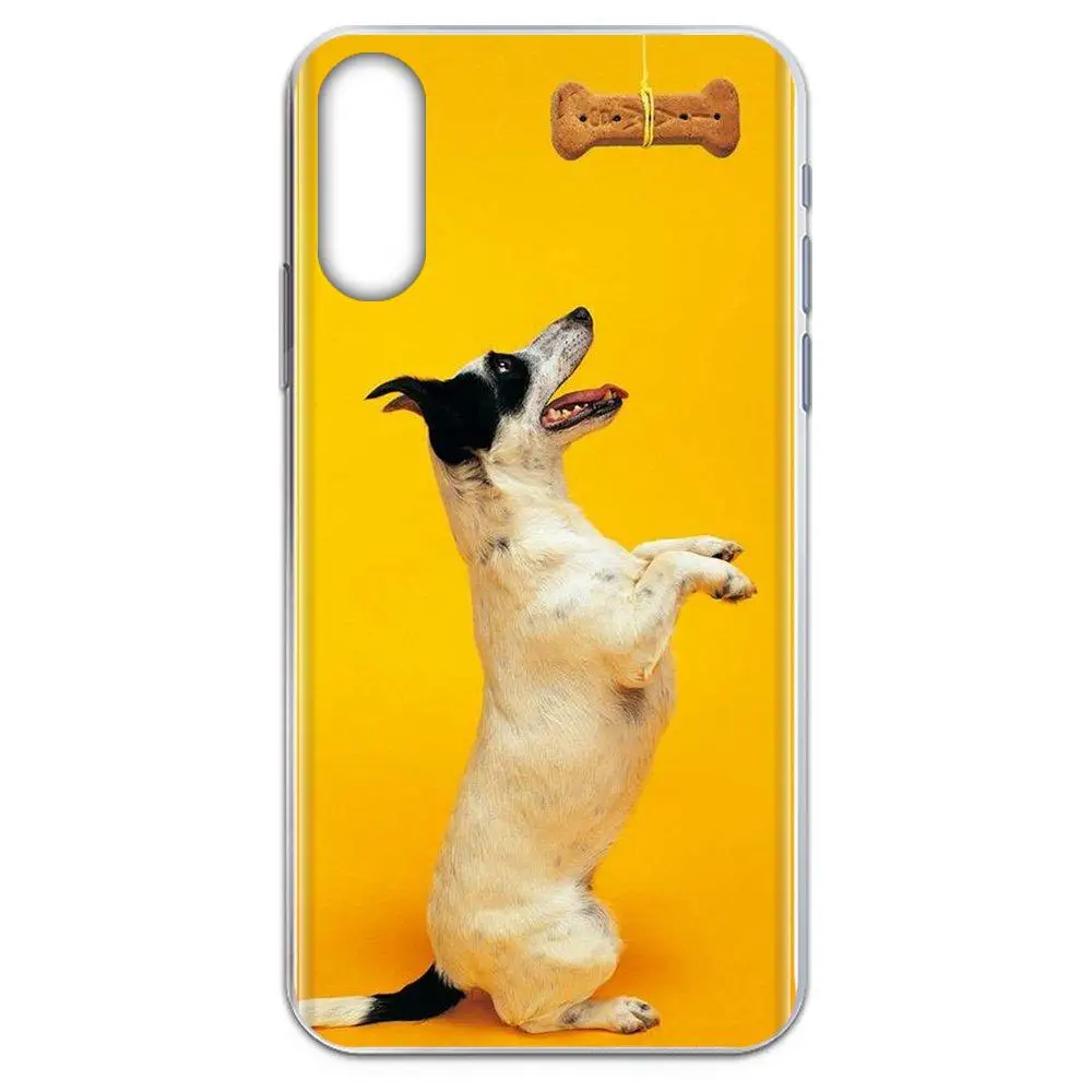 Забавные стильные кости для собак Galaxy Alpha Note 10 Pro A10 A20 A20E A30 A40 A50 A60 A70 A80 A90 M10 M20 M30 M40