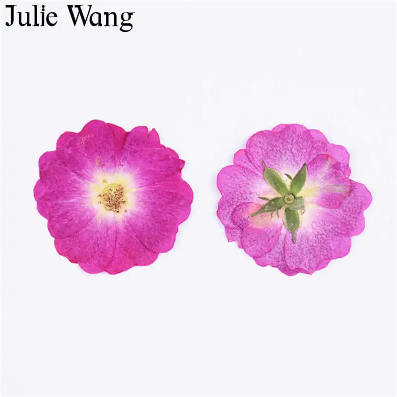 Julie Wang 8 шт. натуральные сухие цветы китайская Роза образец растения эпоксидные