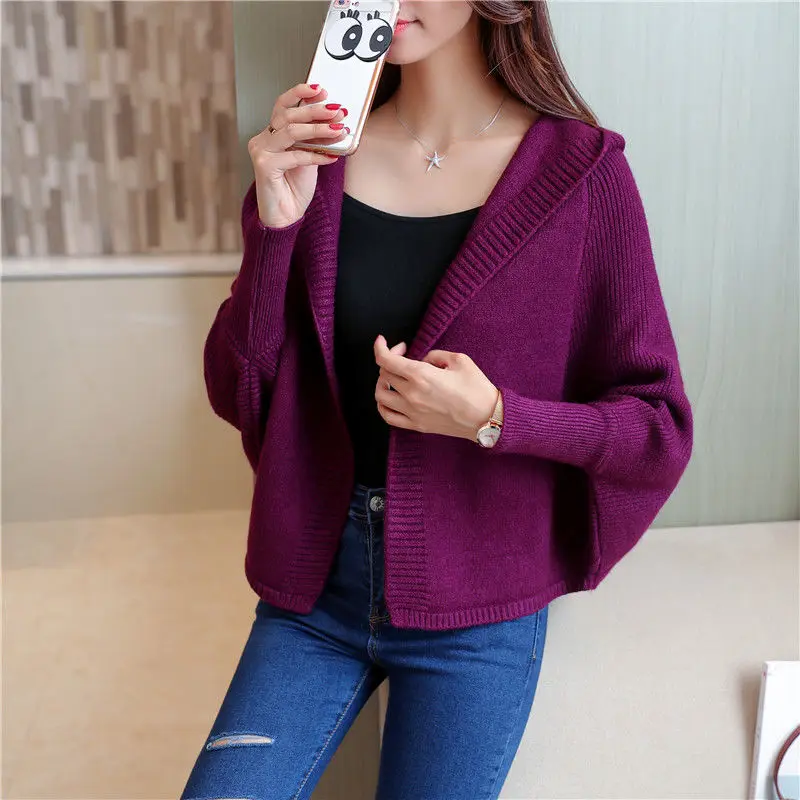 

Price Concessions New Korean Fashion Outdoor Loose Autumn Women's Hooded Sweater Women's Cardigan