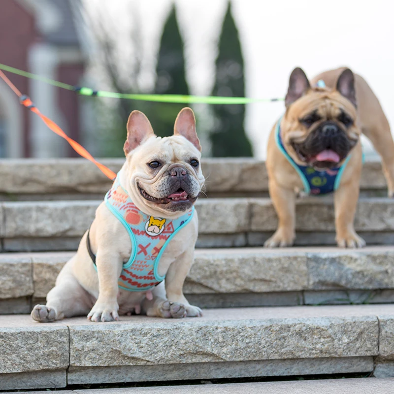 

Adjustable Dog Harness Vest Soft Personalized Mini Puppy Collar Rainbow Dogs Leash Szelki Dla Psa Cachorro Plaid Harness DD55QY