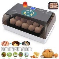 best farm egg incubator automatic 4 35 egg hatchery machine newest temperature humidity control chicken duck quail bird brooder
