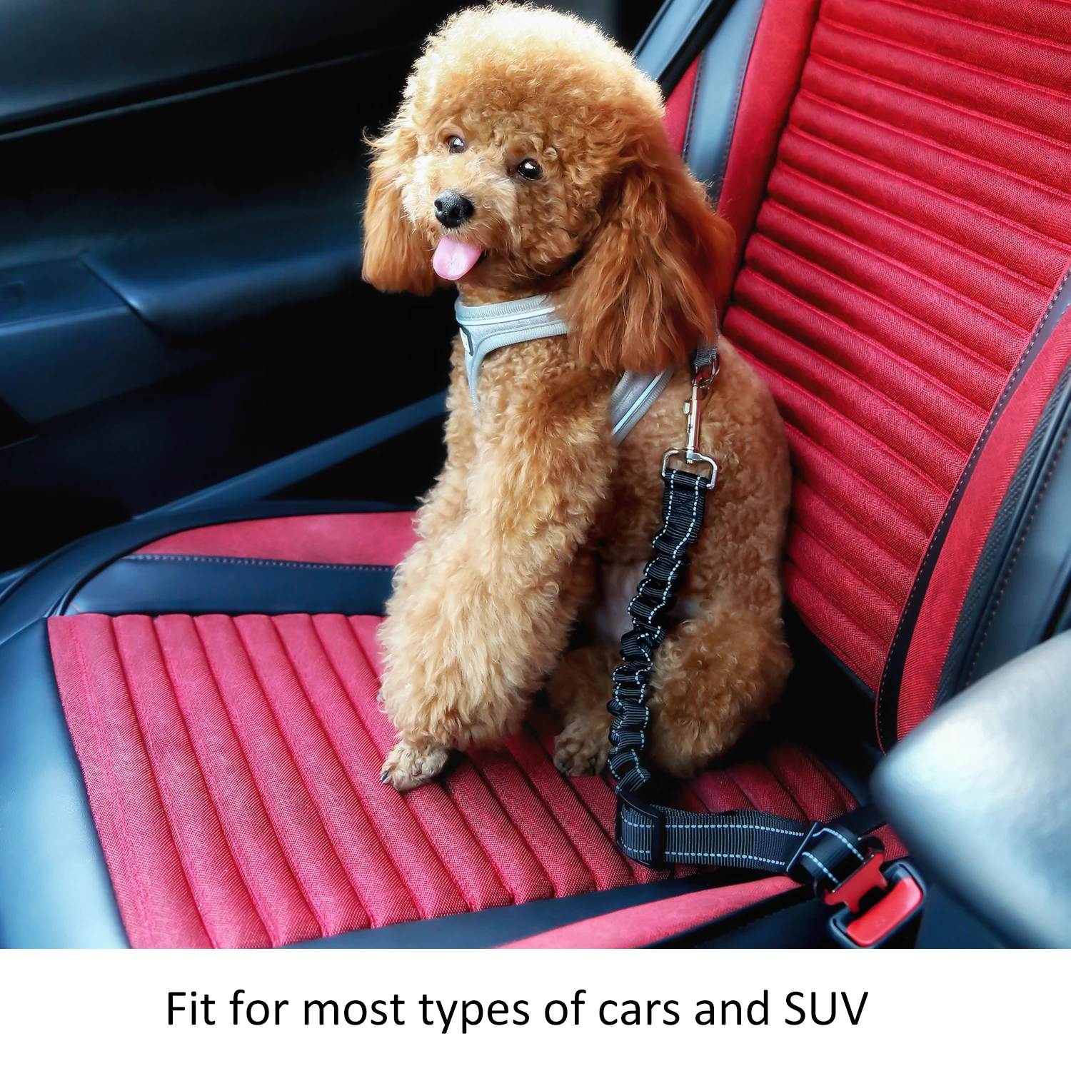 Ремень безопасности для собак | Дом и сад