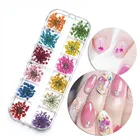 12 цветов в коробке, 3D украшения для ногтей, настоящий сушеный цветок для геля, Типсы для дизайна ногтей, натуральные лепестки, сухие цветы, Типсы, инструменты для маникюра