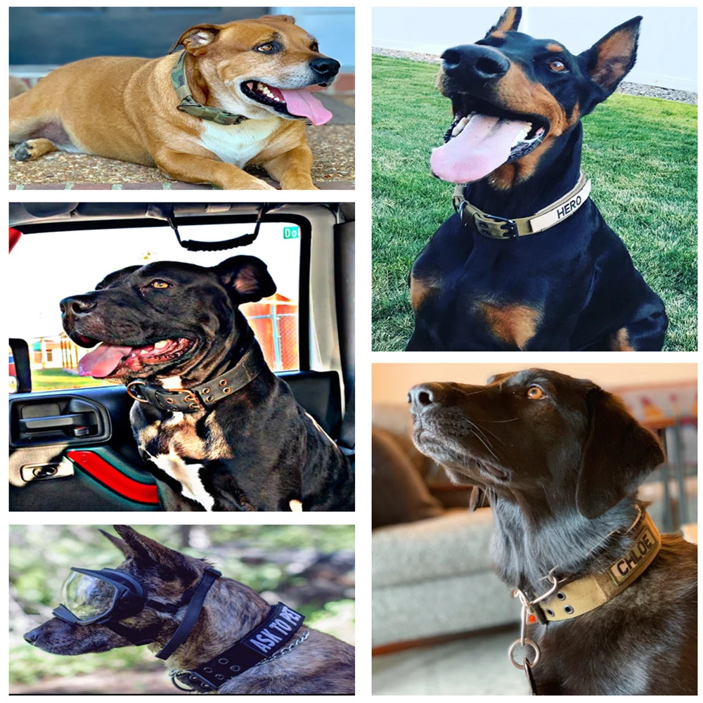 

Tactical Dog Collar K9 Working Adjustable Pet Cat Dog Collars With Handle For Medium Large Dogs Training Pet Products