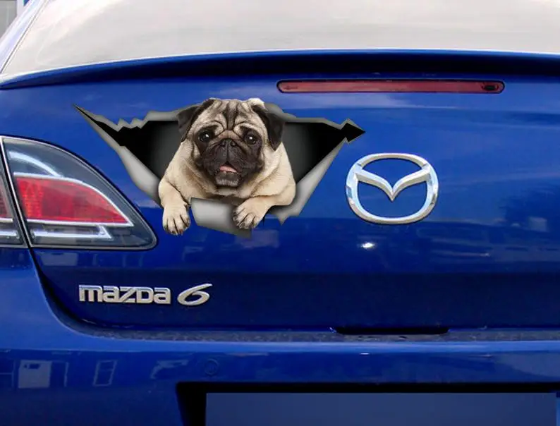 

2021 Pug Sticker, pet decal, pug decal, funny car sticker
