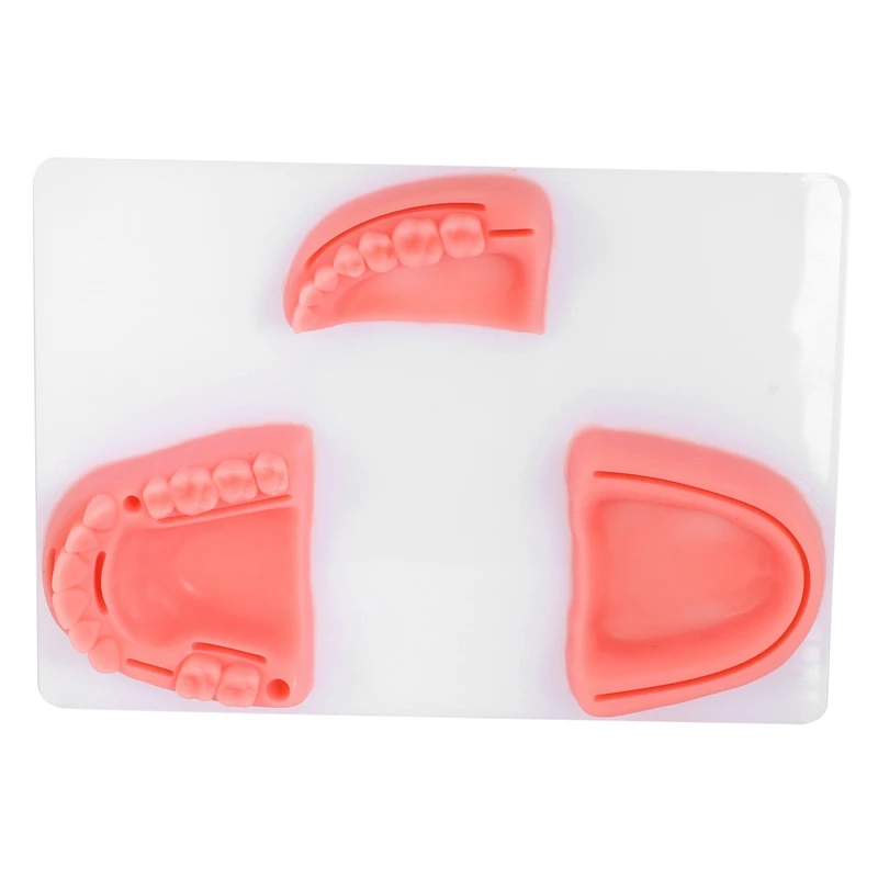 

Модуль для обучения анатомии и ротовой Шовной полости, тренировочный модуль для десен, рекомендуем стоматолога для обучения периодонтизу