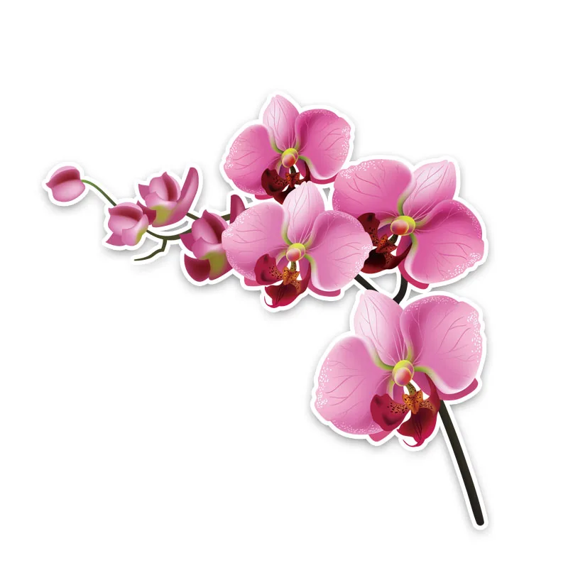 Volkrays Interesting Car Sticker Orchid Decor Accessories High Quality PVC Decal for Seat Leon Opel Astra H Land Rover 11cm*11cm |