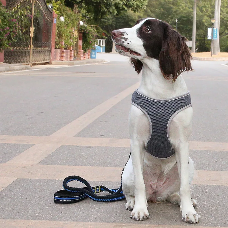 

Dog Harness Traction Rope Vest Type Night Safety Reflective Pet Chest Harness Pit Bull Dog Special Traction Rope