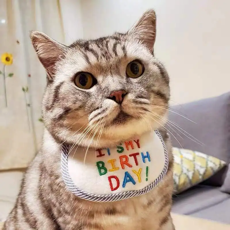 

New Cat Collars Dogs Cute Bibs Handmade Pet Birthday Bib Scarf Pet Accessories Small Dogs Puppy Kitten Collar