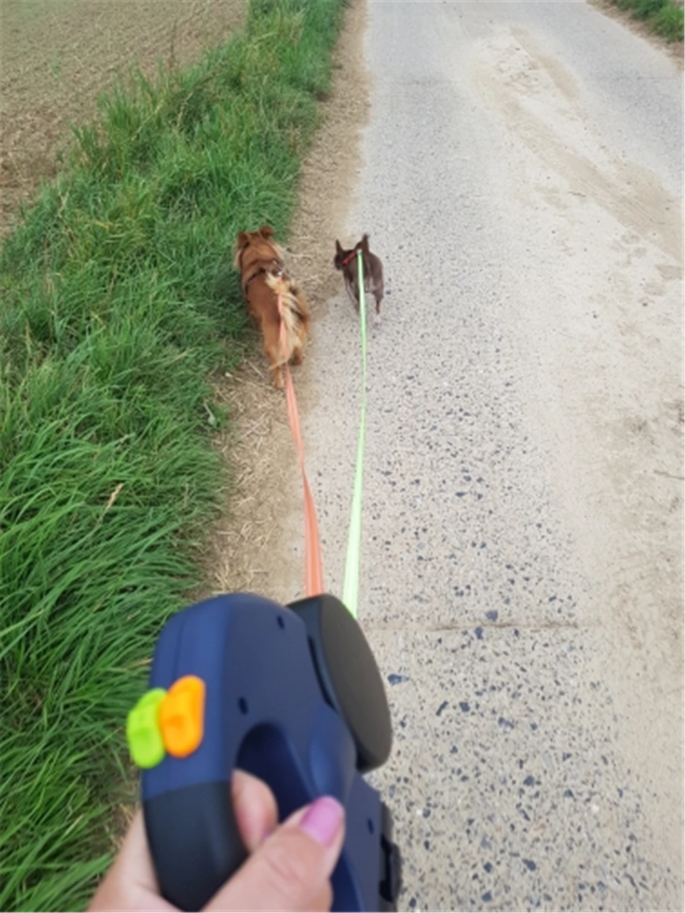 

Dual Dog Rope Leash with Light Retractable Double Pet Traction Rope Belt Portable Rotation Pet Rope Supply for 2 Dogs Walking