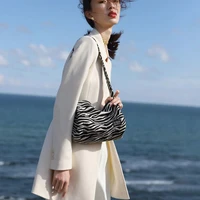 2022 new bag womens zebra canvas underarm bag ins french niche simple shoulder handbag canvas casual zipper solid women
