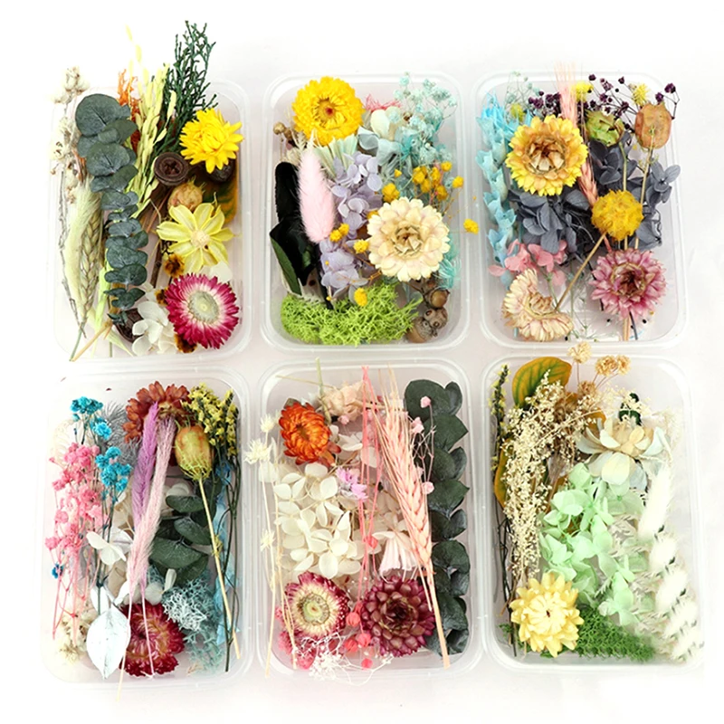 

Random 1 Box More Than 33 Styles Mix Flower Pressed Dried Dry Leaves Plants For Nail Art Decors Jewelry Making DIY Accessories