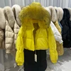 Изображение товара 4