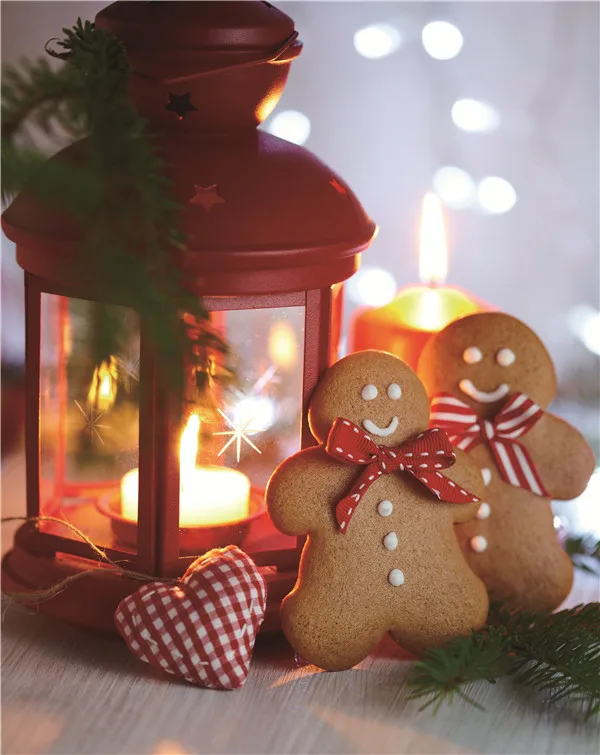 

Vinyl Custom Photography Backdrops Prop Festivals and landscapes Theme Photography Background #PU200427-06